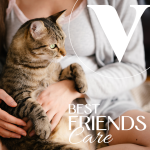 Multivitamins </br>Multivitamine mit L-Lysin für Hund & Katze – Bild 5