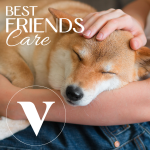 Probiotics </br>Probiotika für Hund & Katze – Bild 5