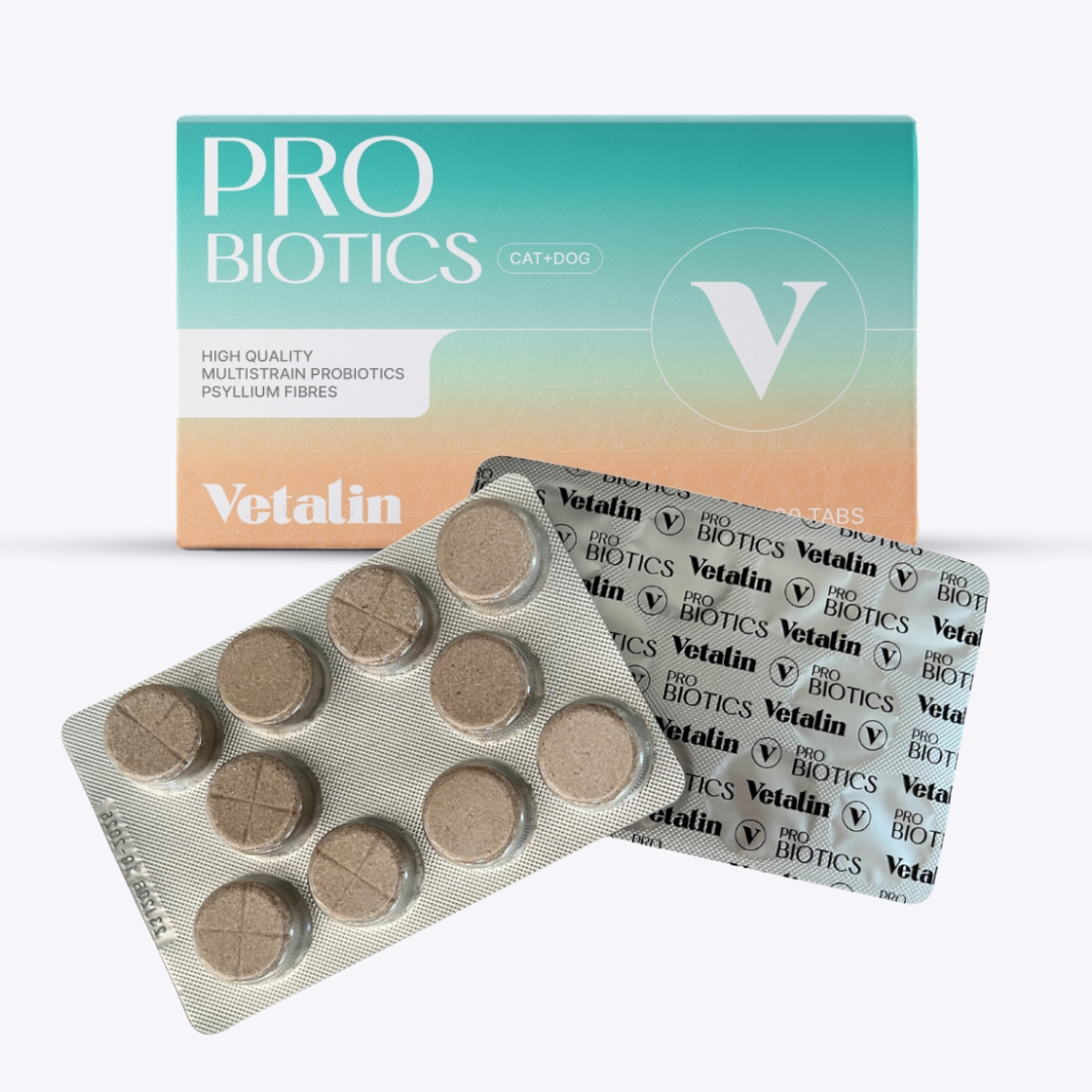 Probiotika-Kautabletten-Hund